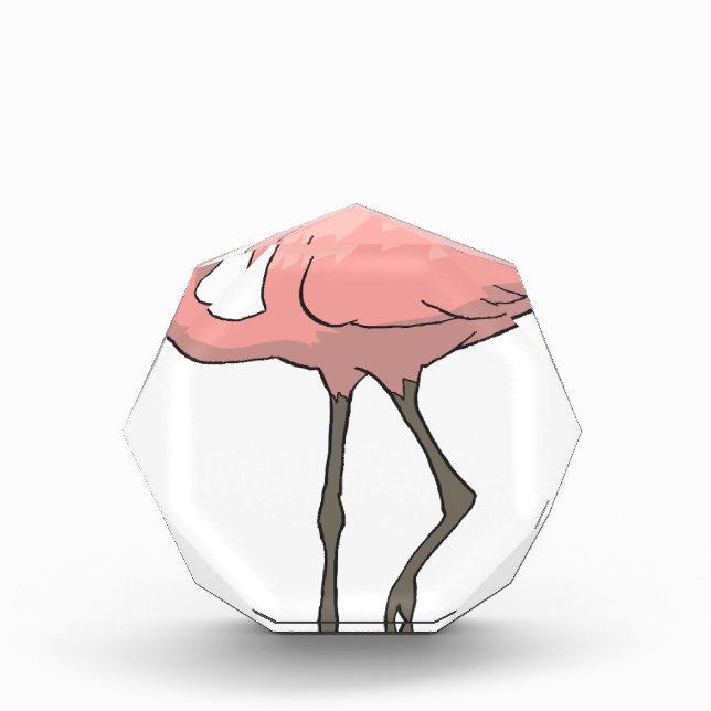 Flamingo #7 award (Front)