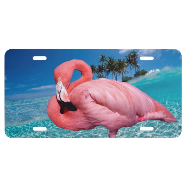 Flamingo and Palms License Plate (Front)