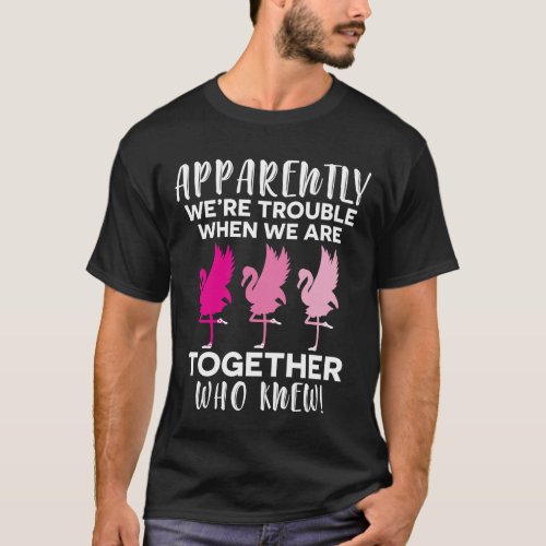 Flamingo Apparently Were Trouble When We together T_Shirt