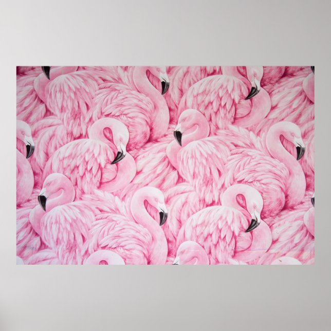 FLAMINGO ARE EVERYWHERE POSTER (Front)
