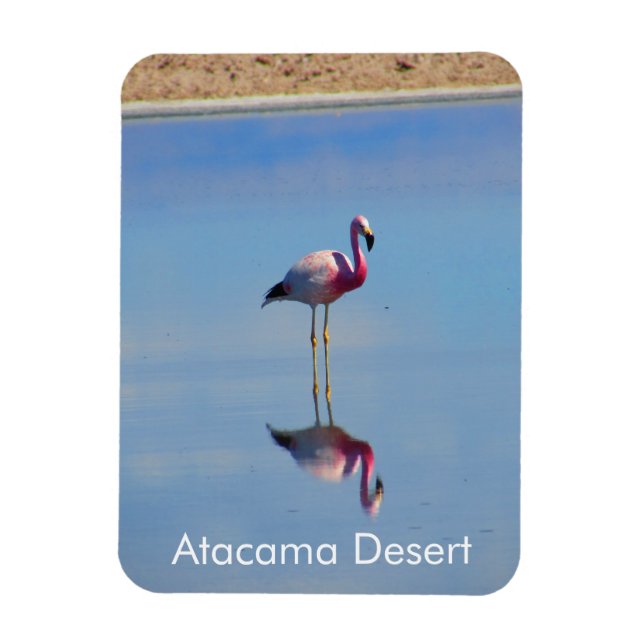 Flamingo Atacama Desert Flexible Magnet (Vertical)