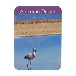 Flamingo Atacama Desert Flexible Magnet