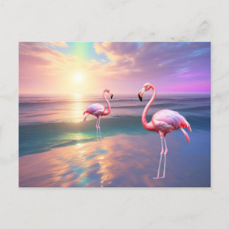 Flamingo Beach Postcard