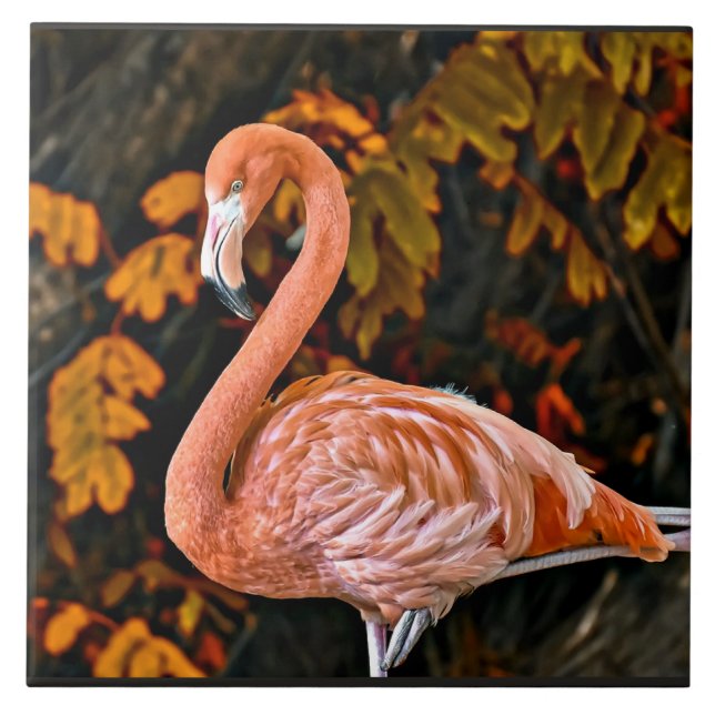 Flamingo, beautiful wading bird ceramic tile (Front)
