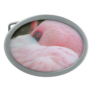 Flamingo belt buckle