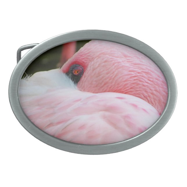 Flamingo  belt buckle (Front)