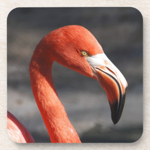 Flamingo Beverage Coaster