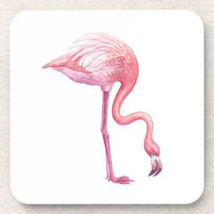 Flamingo Beverage Coaster