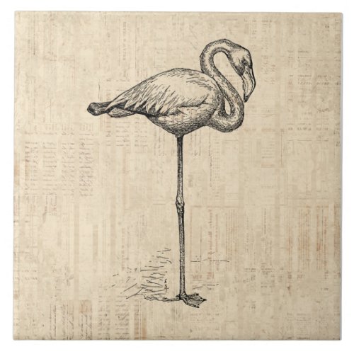 Flamingo Bird Illustrated Animal Script Art Ceramic Tile