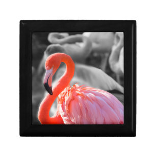 Flamingo Bird Photography Gift Box