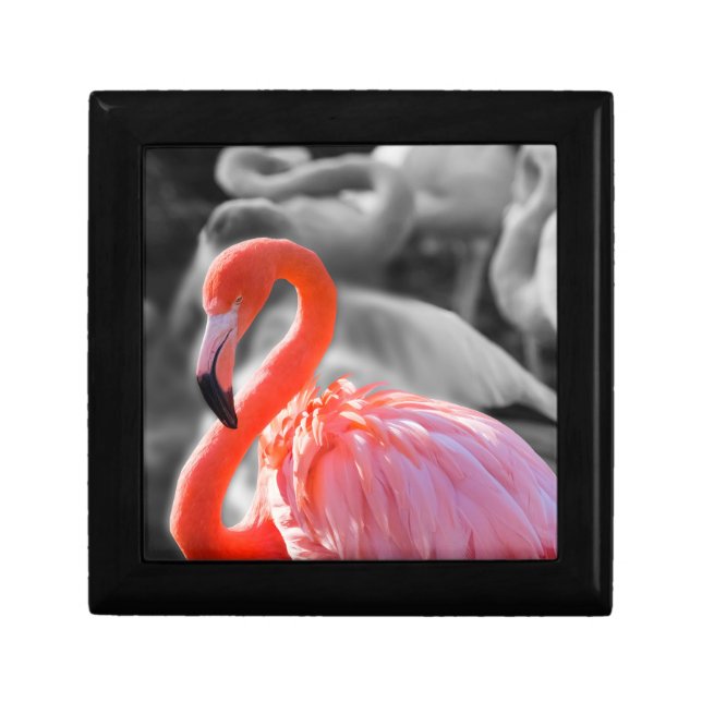 Flamingo Bird Photography Gift Box (Front)