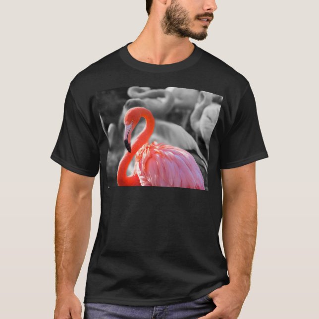 Flamingo Bird Photography T-Shirt (Front)