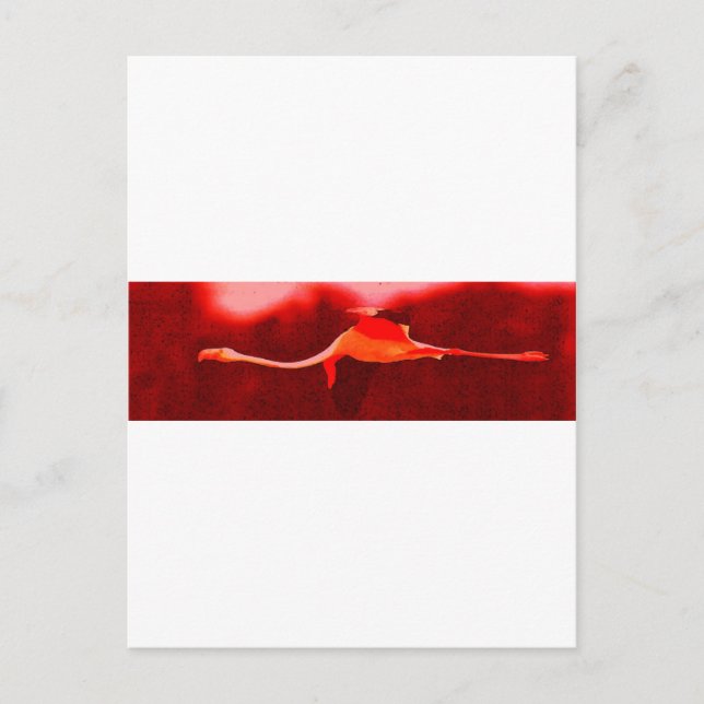 Flamingo Bird Postcard (Front)