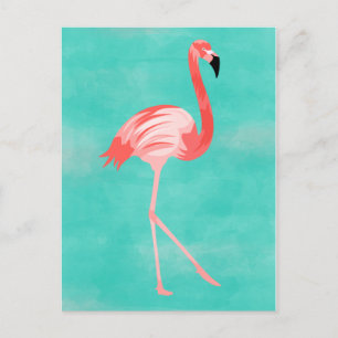 Flamingo Bird Postcard