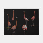 Flamingo Birds Doormat at Zazzle