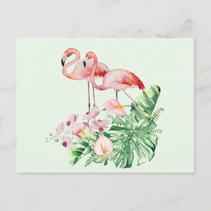 Flamingo Birds, Tropical Flowers and Leaves Postcard