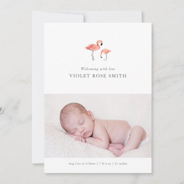 Flamingo Birth Announcement (Front)