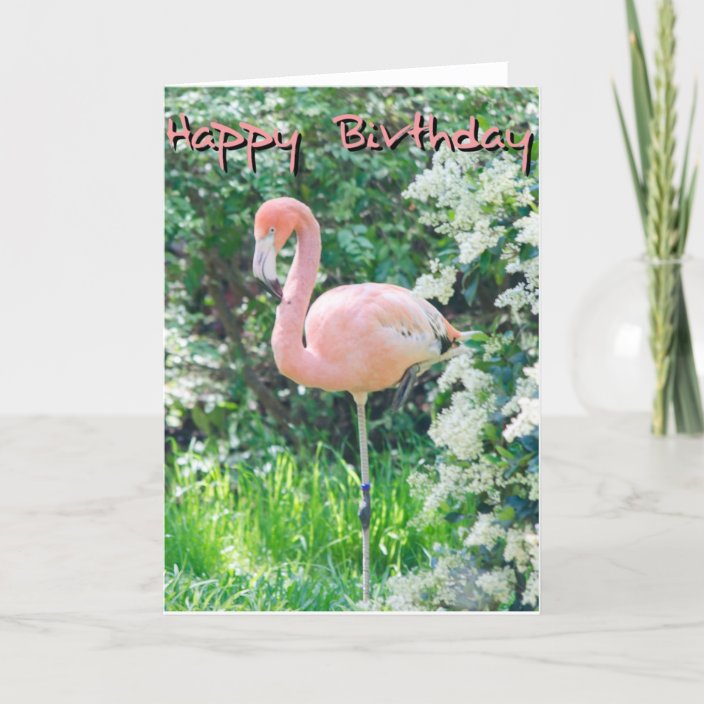 Flamingo Birthday Card | Zazzle.com