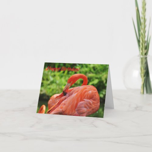 Flamingo Birthday Greeting Card