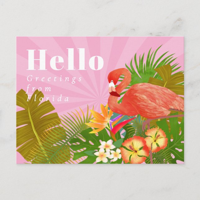 Flamingo Blue Hello Postcard (Front)