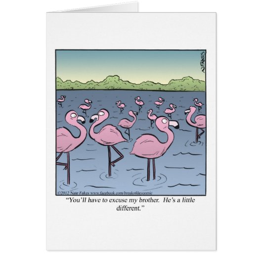 Flamingo Brother Cards (Front)