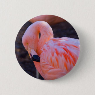 Flamingo Button