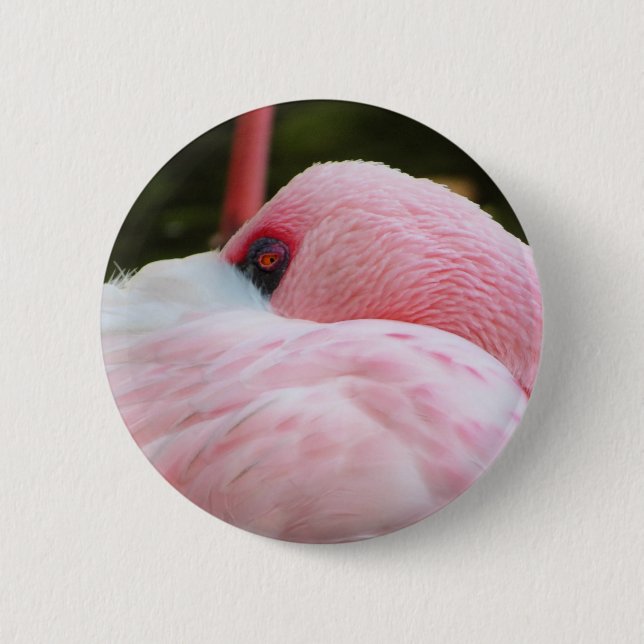Flamingo  button (Front)