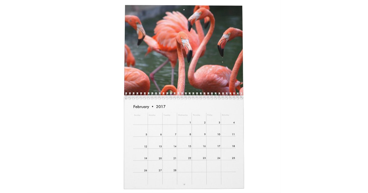 Flamingo Calendar Zazzle