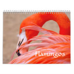 Flamingo Calendar at Zazzle