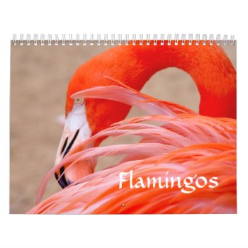 Flamingo Calendar by aquachild at Zazzle