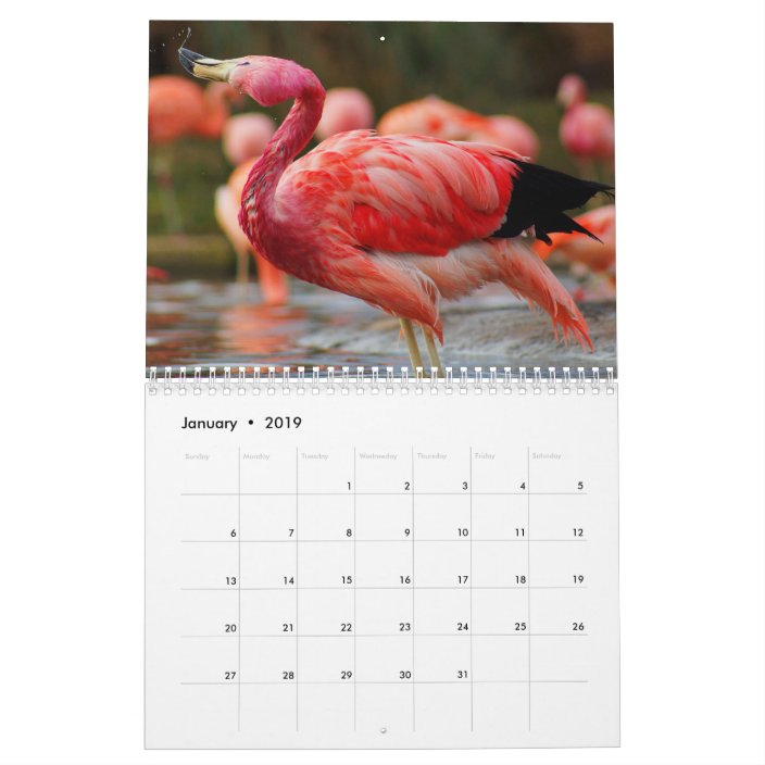 Flamingo Calendar