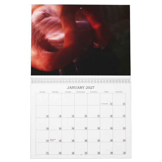 Flamingo Calendar (Jan 2027)