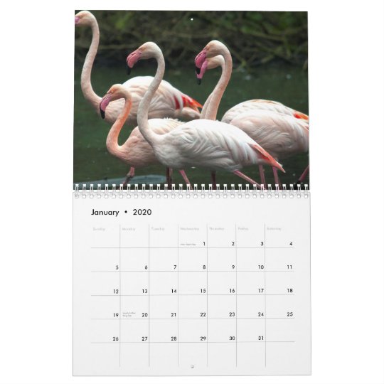 Flamingo Calendar