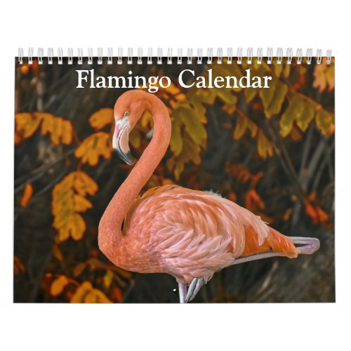 Flamingo Calendar 2024