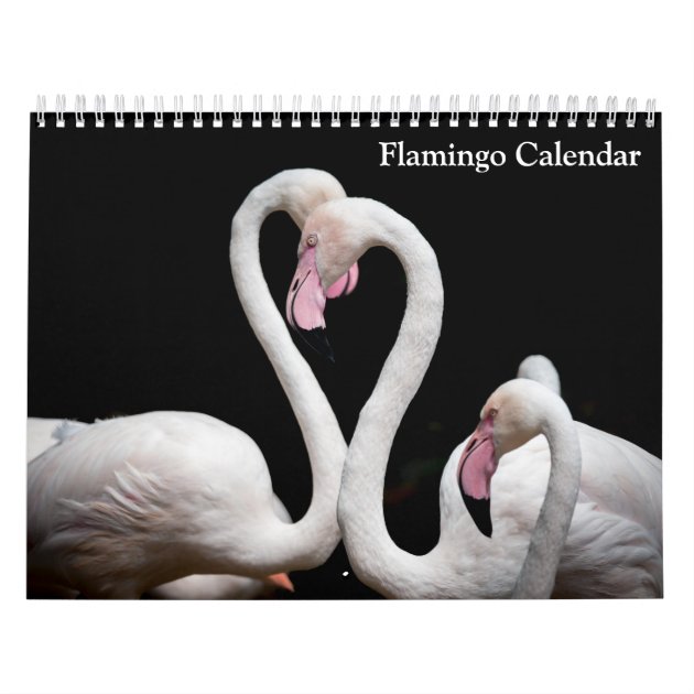 Flamingo Calendar 2024 Zazzle   Flamingo Calendar 2024 R546102685a45426c877cefb02217cd81 Ufxkx 8byvr 630 