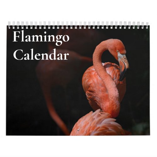 Flamingo Calendar 2024