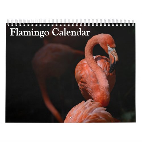 Flamingo Calendar 2024