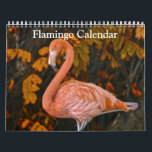 Flamingo Calendar 2026<br><div class="desc">This is a beautiful collection of Flamingo Bird Photography for your 2026 calendar. This calendar make a great gift for your loving one.</div>
