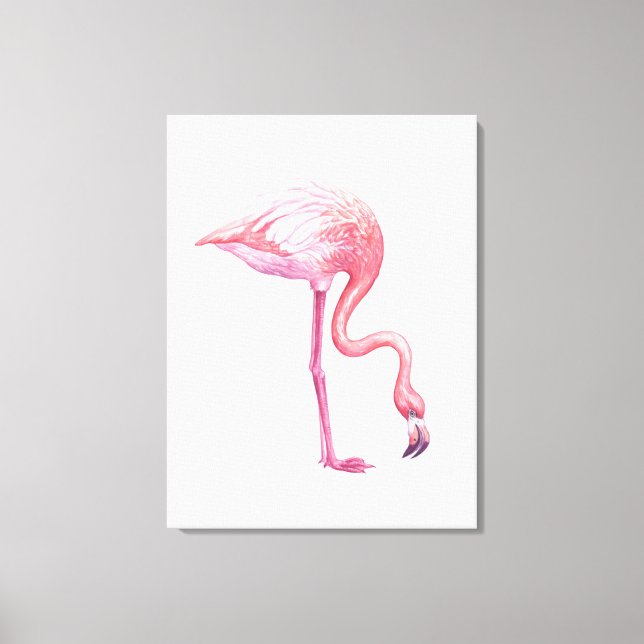 Flamingo Canvas Print (Front)