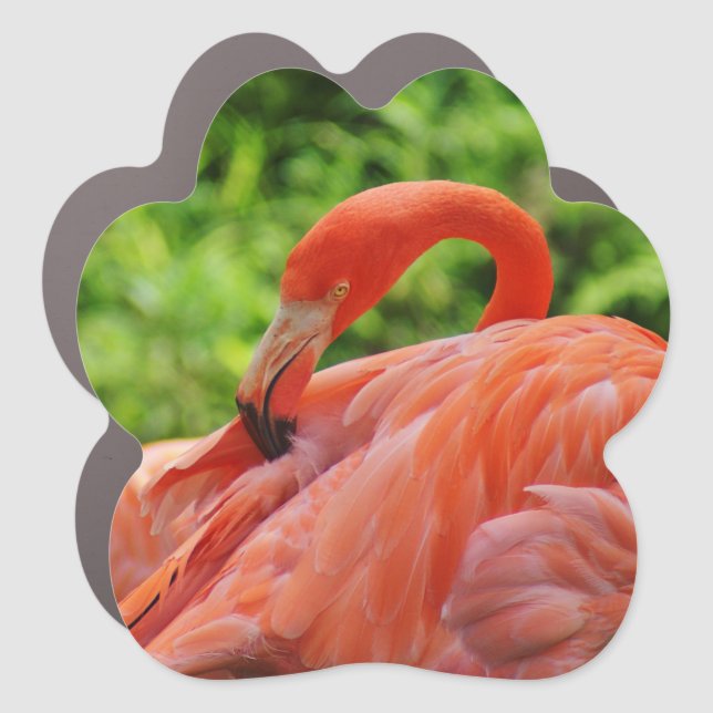 Flamingo car magnet (Front)