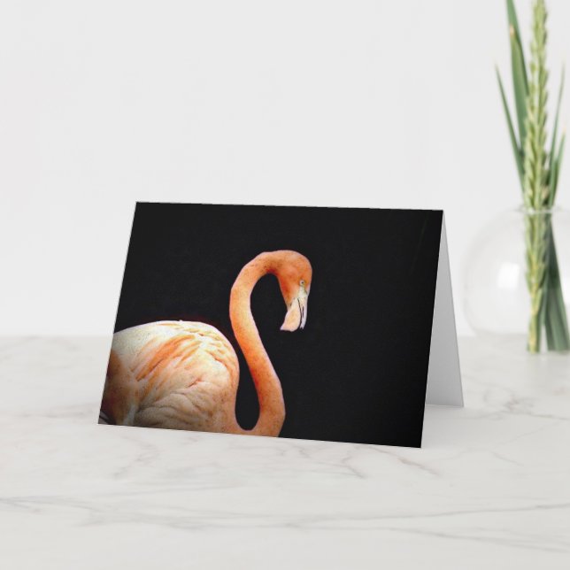 Flamingo Card (Front)