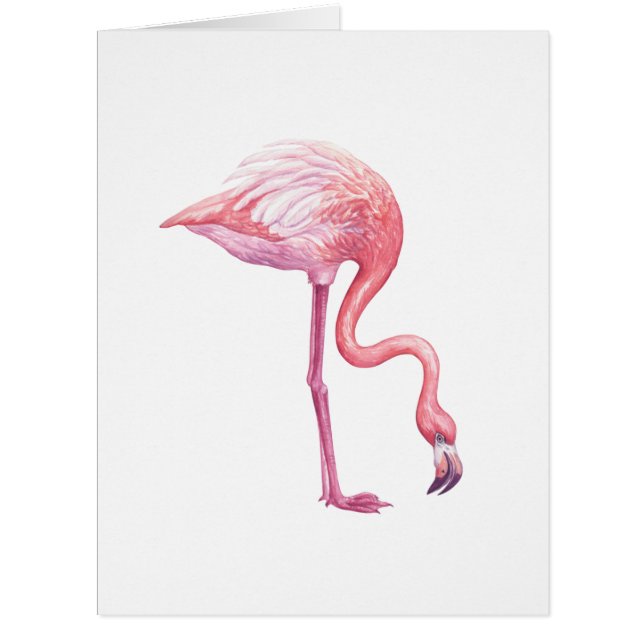 Flamingo Cards (Front)
