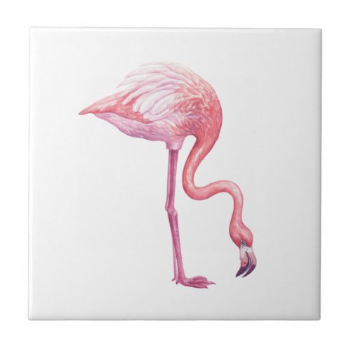 Flamingo Ceramic Tile