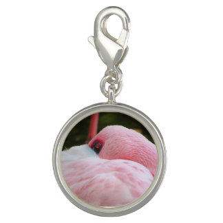 Flamingo  charm