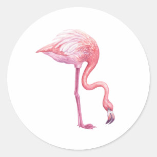 Flamingo Classic Round Sticker