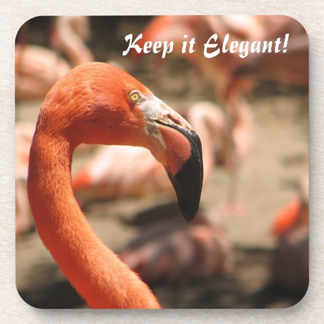 Flamingo Cork Coaster! Beverage Coaster (Front)