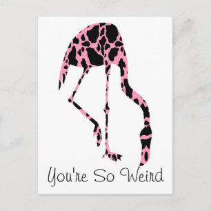 Flamingo Cow Spots You're So Weird Postcard