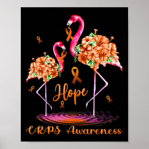 Flamingo Crps Awareness Poster