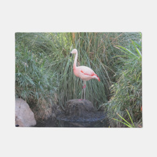 Pink Flamingo Doormats Welcome Mats Zazzle