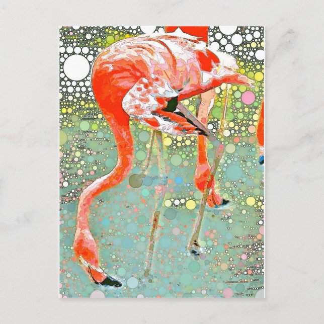 Flamingo Drinking Postcard (Front)